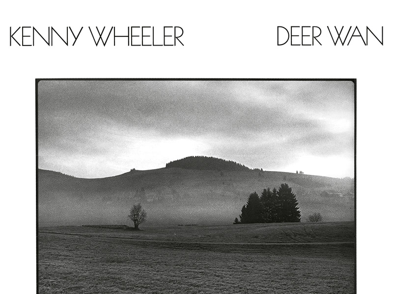 Deer Wan