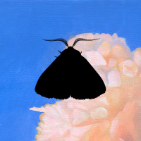 Moth to the Flame (Whatever/Whatever Remix) (Single)