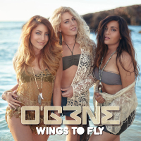 Wings To Fly (Single)