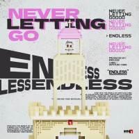 Never Letting Go (Single)