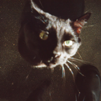 No One Left (Single)