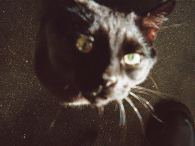 No One Left (Single)