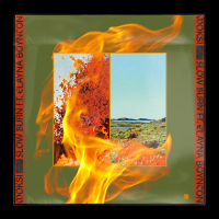 Slow Burn (Single)