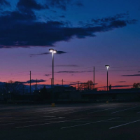 night blooming (Single)