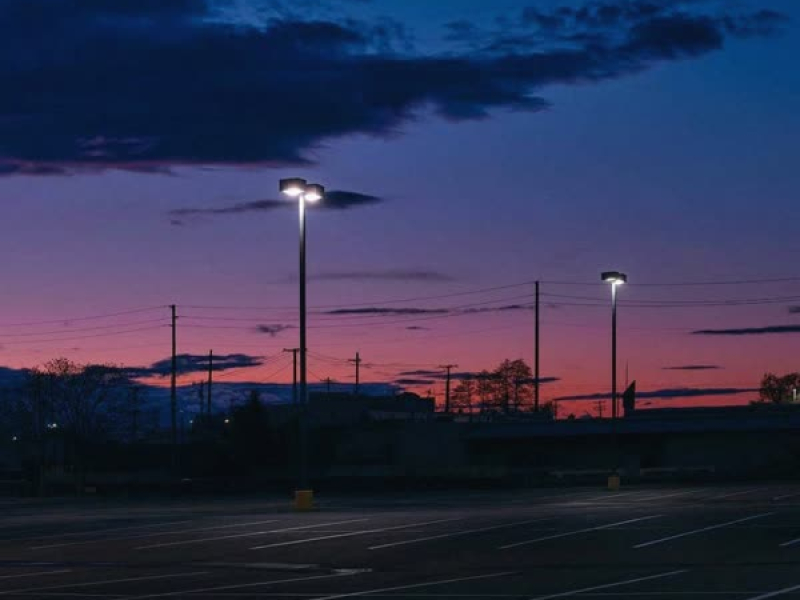 night blooming (Single)