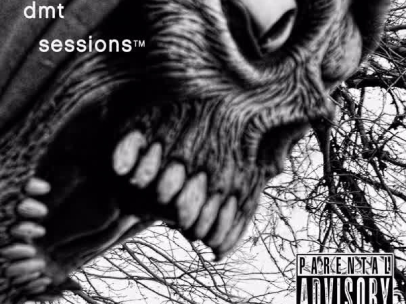 DMT Sessions