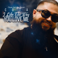 I Like the Way You Love Me (Single)