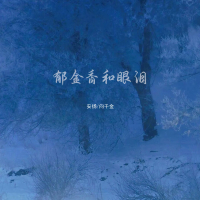 郁金香和眼泪 (Dj版) (Single)