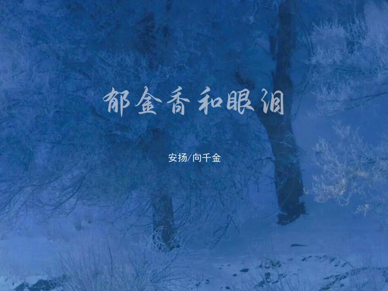 郁金香和眼泪 (Dj版) (Single)