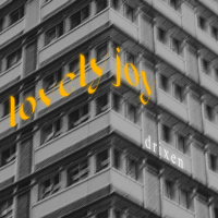 Lovely Joy (Single)