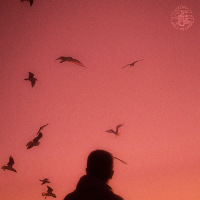 Feeling Relaxed (Single)