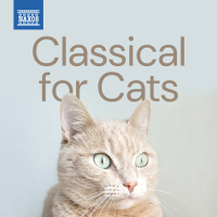 Classical for Cats