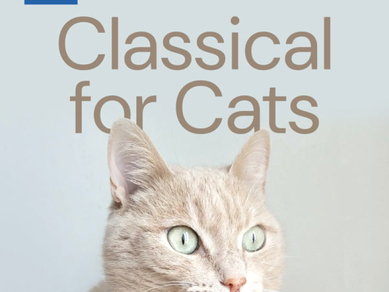 Classical for Cats