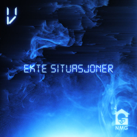 Ekte Situasjoner (Single)