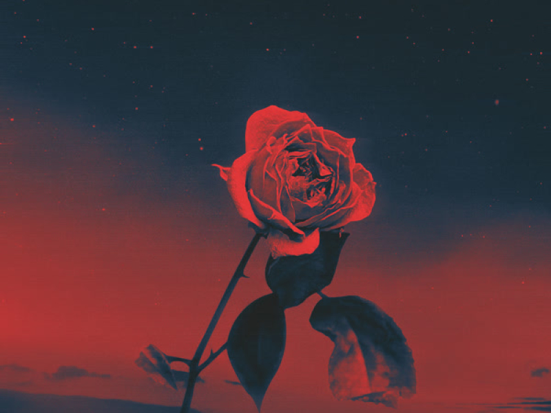 Roses (Single)
