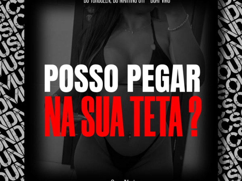 POSSO PEGAR NA SUA TETA ? (Single)
