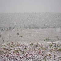 Melody Vol.3 for inducing comfortable sleep (EP)