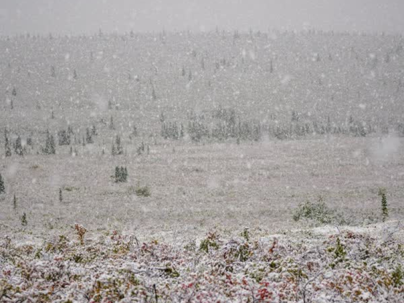 Melody Vol.3 for inducing comfortable sleep (EP)