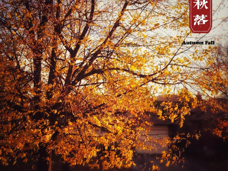 Autumn Fall (Single)