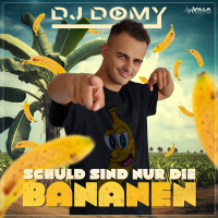 Schuld sind nur die Bananen (Single)