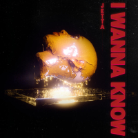 I Wanna Know (Single)