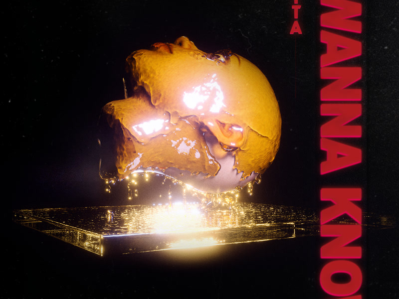 I Wanna Know (Single)