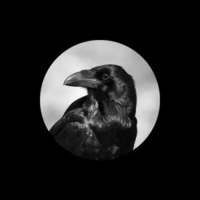 Tâm Lặng Như Nước / 心如止水