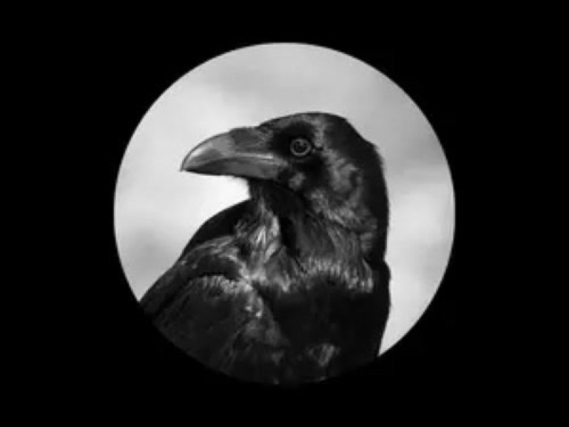 Tâm Lặng Như Nước / 心如止水