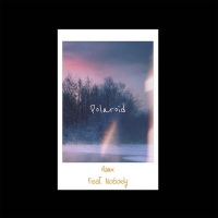 Polaroid Rmx (Single)