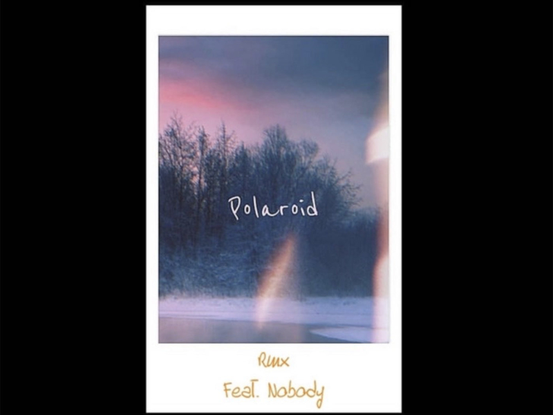 Polaroid Rmx (Single)