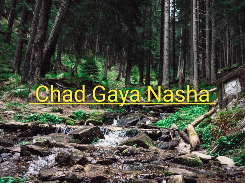 Chad Gaya Nasha (Single)