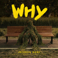 Why Why Why (Single)