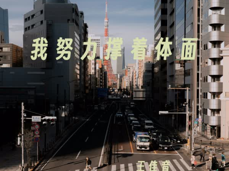 我努力撑着体面 (Single)