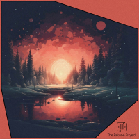 Icy Pines Melody | Introspective Nights (Single)