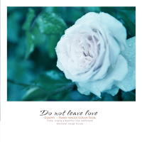 A love that never leaves (Single)