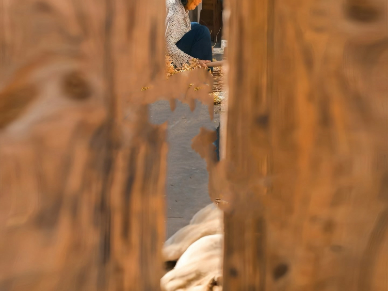 阿嬷 (说唱版) (Single)