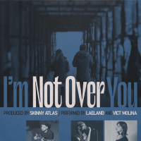 I'm Not Over You (Single)