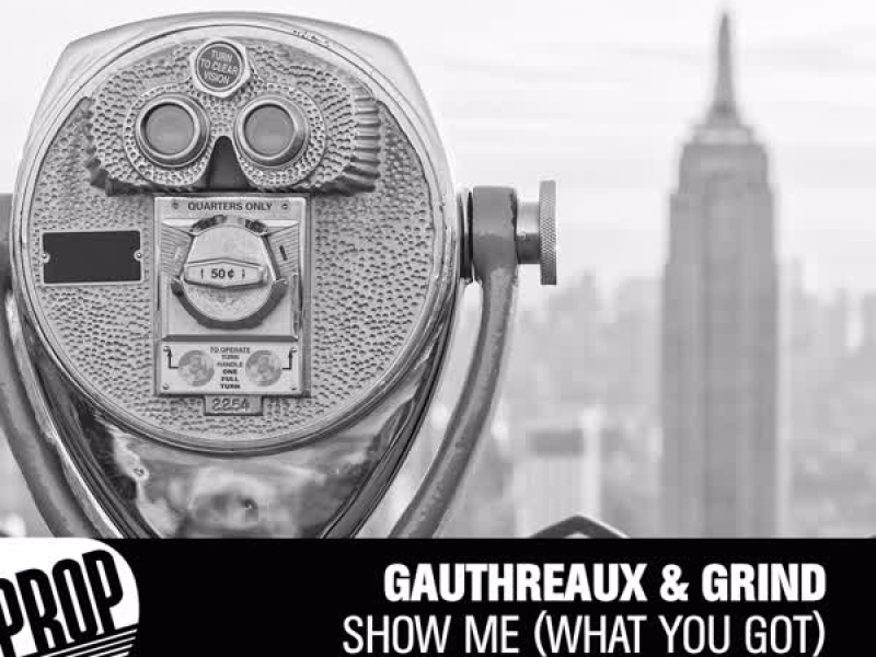 Show Me (What You Got)