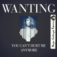 You Can't Hurt Me Anymore (Napa Cabbage Remix) (Single)
