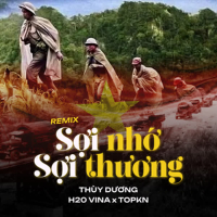 Sợi Nhớ Sợi Thương (Remix) (Single)