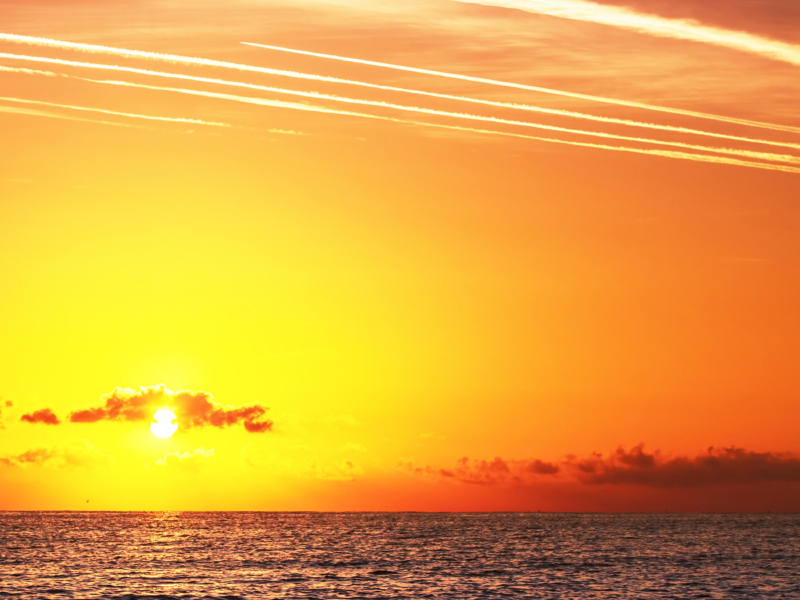 Travel with you (Single)