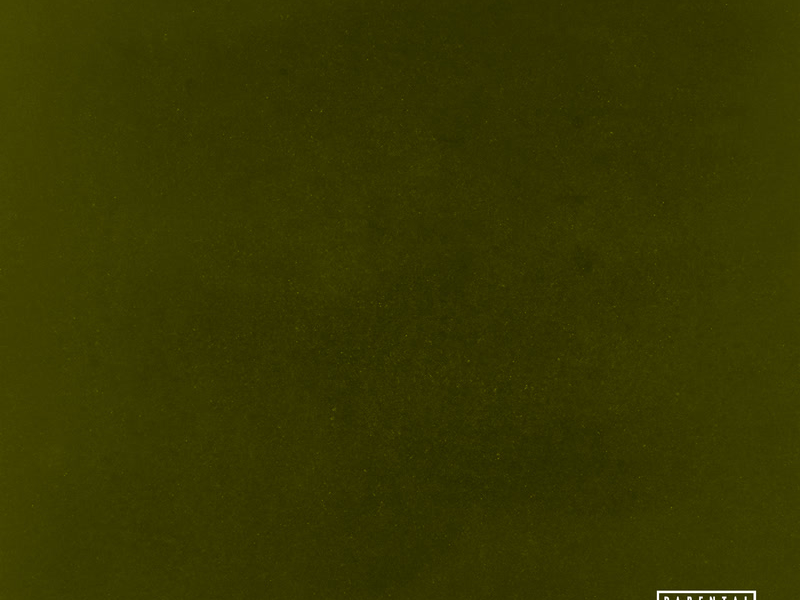 untitled unmastered.