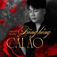 Bông Hồng Cài Áo (Single)
