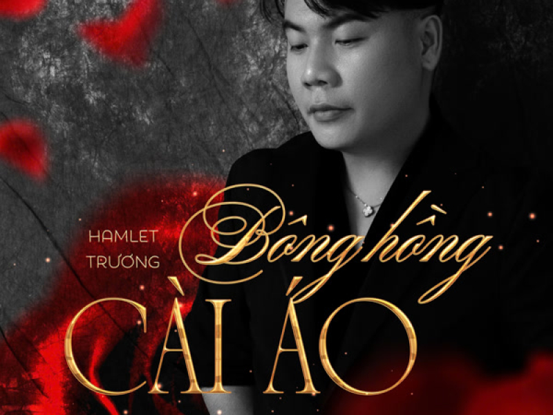 Bông Hồng Cài Áo (Single)