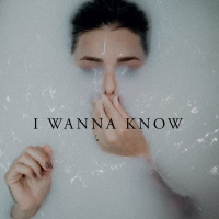 I Wanna Know (Single)