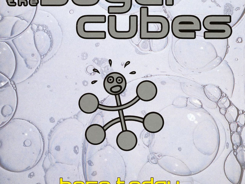 Here Today, Tomorrow Next Week!