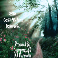 Destiny (Chosen Path)  (Instrumental) (Single)