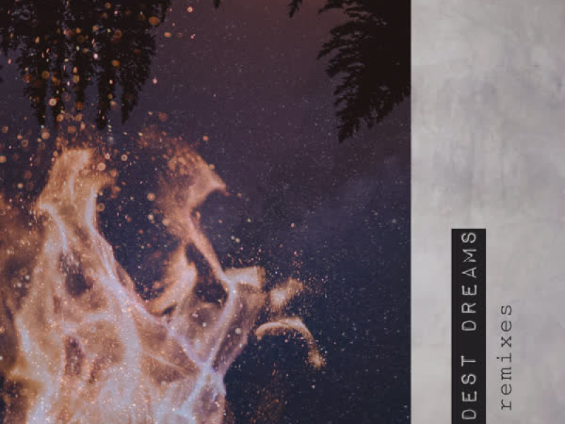 Wildest Dreams (The Remixes) (EP)