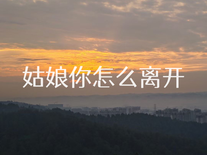 姑娘你怎么离开 (Single)