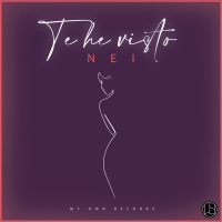 Te He Visto (Single)